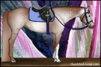 Horse Color:Gray Chestnut 