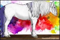 Horse Color:Watercolor White Spotted Bay Rabicano 