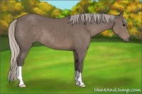 Horse Color:Silver Black 