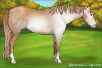 Horse Color:Gray Gold Champagne Ice 