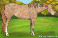 Horse Color:Chestnut Ice 