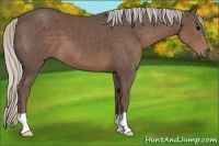 Horse Color:Silver Black 