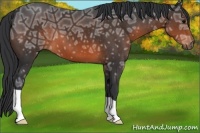 Horse Color:Brown Ice 