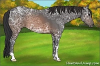 Horse Color:Brown Ice 