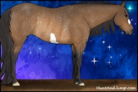 Horse Color:Buckskin Rabicano