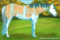 Horse Color:ERROR: UNKNOWN ANOMALY