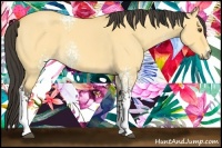 Horse Color:White Spotted Buckskin Roan Dun 