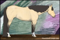 Horse Color:Buckskin Roan Dun