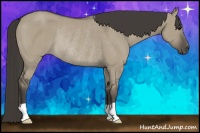 Horse Color:Smoky Grullo Rabicano 