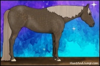 Horse Color:Chocolate Palomino 