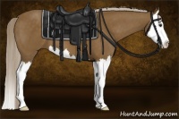Horse Color:Chocolate Palomino Splash 