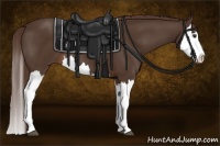 Horse Color:Liver Chestnut Splash 