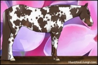 Horse Color:White Spotted Liver Chestnut 