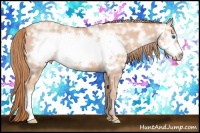 Horse Color:Gold Champagne Ice Frame