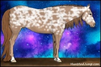 Horse Color:Chestnut Ice 