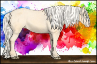 Horse Color:Gold Cream Champagne Appaloosa 