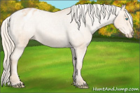Horse Color:Palomino Pearl Sabino Blanket 