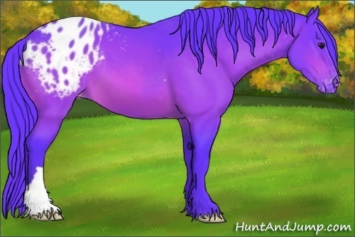 Horse Color: Watercolor Bay Blanket 