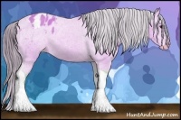 Horse Color:Watercolor Buckskin Tobiano Blanket 