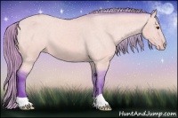 Horse Color:Watercolor Buckskin Dun Varnish 