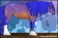 Horse Color:Watercolor Bay 