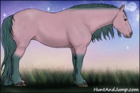 Horse Color:Watercolor Buckskin 