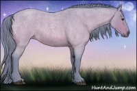 Horse Color:Watercolor Buckskin Roan 