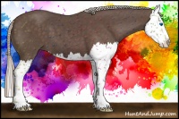 Horse Color:Silver Black Splash