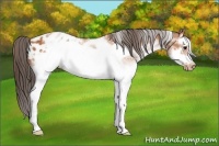 Horse Color:White Spotted Bay Splash Frame Blanket 