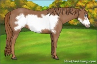 Horse Color:Chestnut Frame 