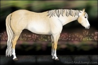 Horse Color:Gray Palomino Roan Splash 