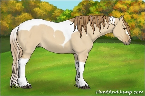 Horse Color: Red Dun Tobiano 