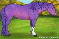 Horse Color:Watercolor Brown 
