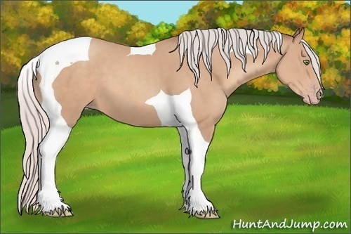 Horse Color: Silver Classic Champagne Tobiano 