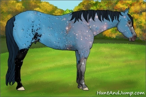Horse Color: ERROR: UNKNOWN ANOMALY