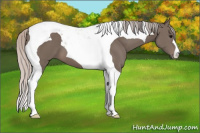Horse Color:Silver Black Tobiano 