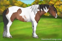 Horse Color:Bay Tobiano Rabicano 