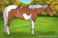 Horse Color:Silver Bay Tobiano Rabicano 