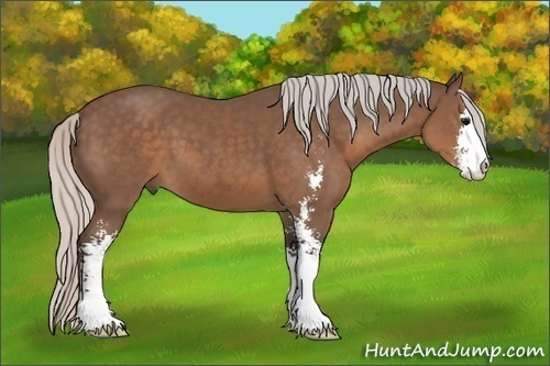 Horse Color: Silver Black Sabino 