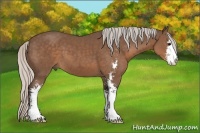 Horse Color:Silver Black Sabino 