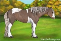 Horse Color:Silver Black Tobiano