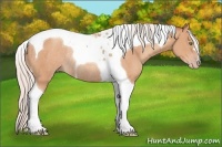 Horse Color:Silver Sable Champagne Tobiano Rabicano 