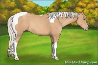 Horse Color:Silver Classic Champagne Tobiano Rabicano 