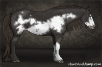 Horse Color:Liver Chestnut Frame 