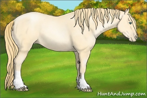 Horse Color: Smoky Black Pearl 