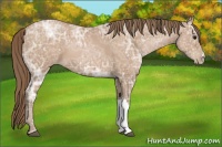 Horse Color:Black Ice Pearl