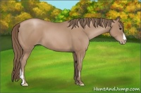 Horse Color:Black Pearl