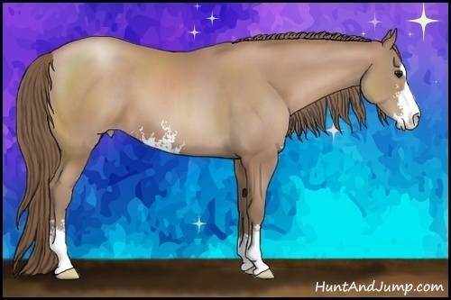 Horse Color: Black Pearl Sabino 