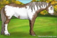 Horse Color:Chocolate Palomino Frame 