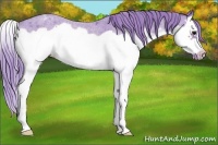 Horse Color:Watercolor Brown Roan Splash Frame Blanket 